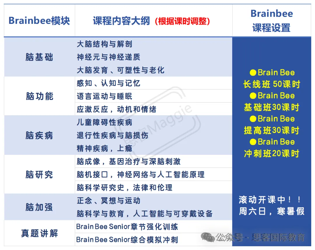 看完这篇，彻底搞懂BrainBee脑科学大赛！附BrainBee内容全解析！