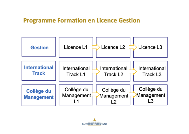 巴黎一大：本科管理学 Licence Gestion - 15个专业方向