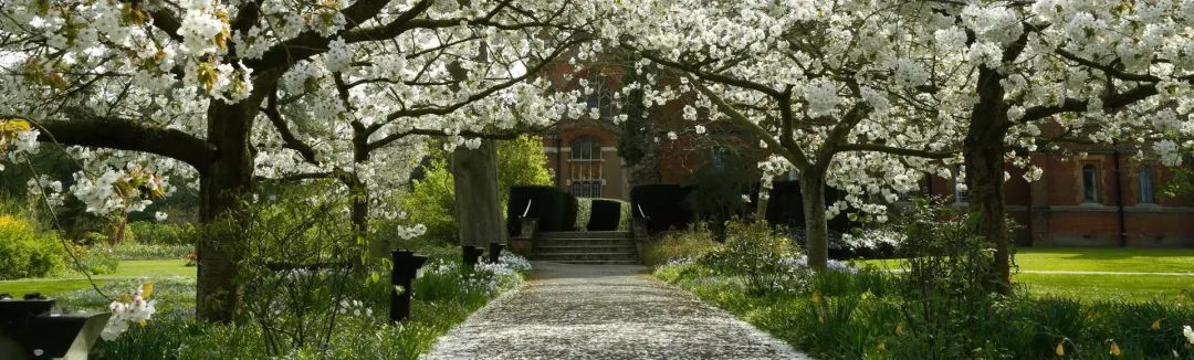 剑桥大学官宣！2025年最新面试安排出炉，今年这些学院需要线下面试！