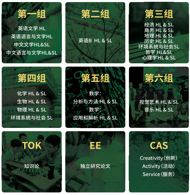 ​​上海热门IB高中课程设置曝光 这些是必修！