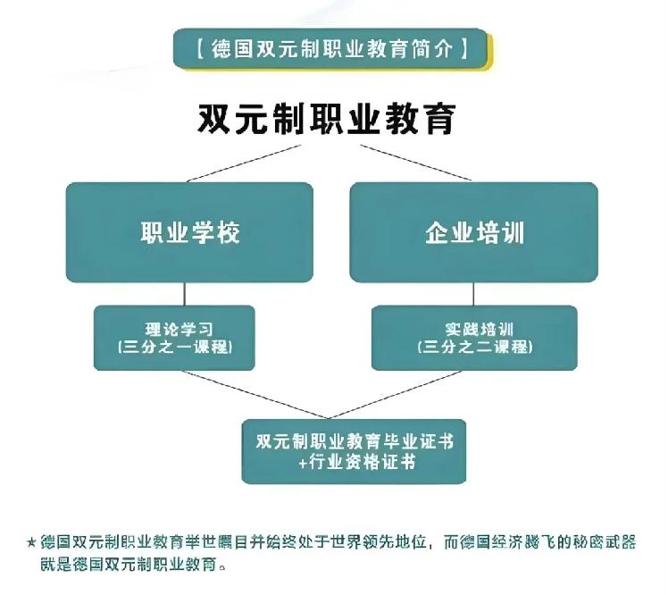 零学费还能领工资 德国双元制真的有这么香？