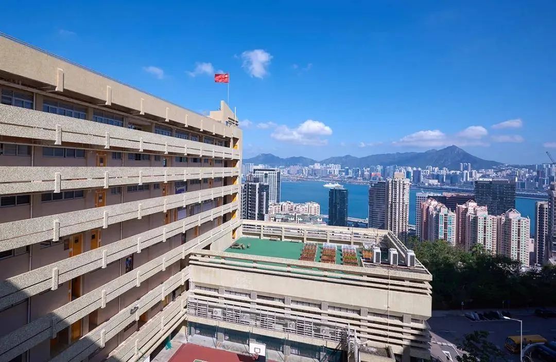 香港培侨/深圳培侨全方位对比 | 附择校规划