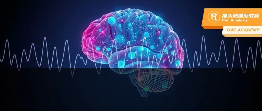 为什么顶尖大学都在关注这个脑科学竞赛？2025 Brain Challenge 赛季前瞻！