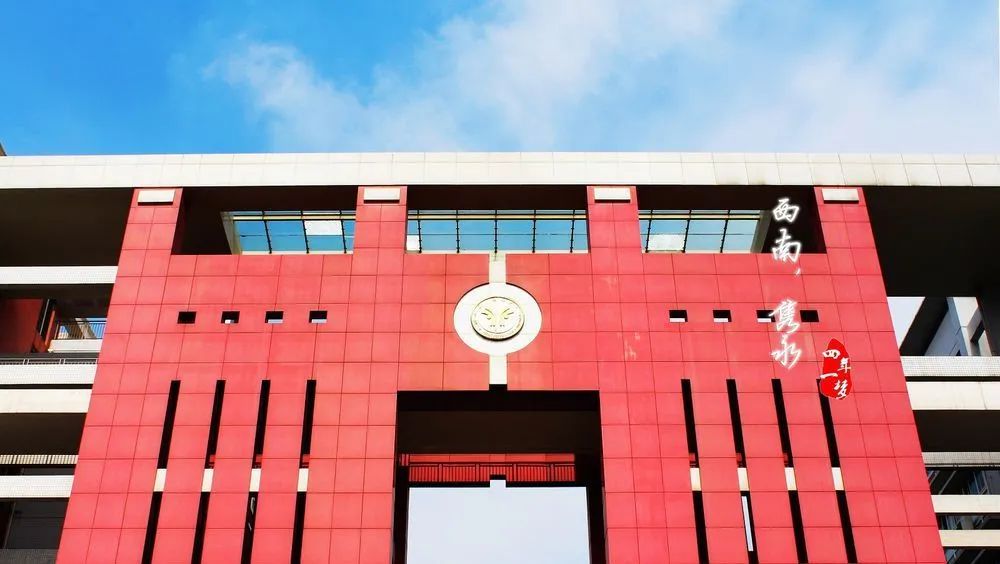 西南政法大学2+2国际本科项目2025年招生简章