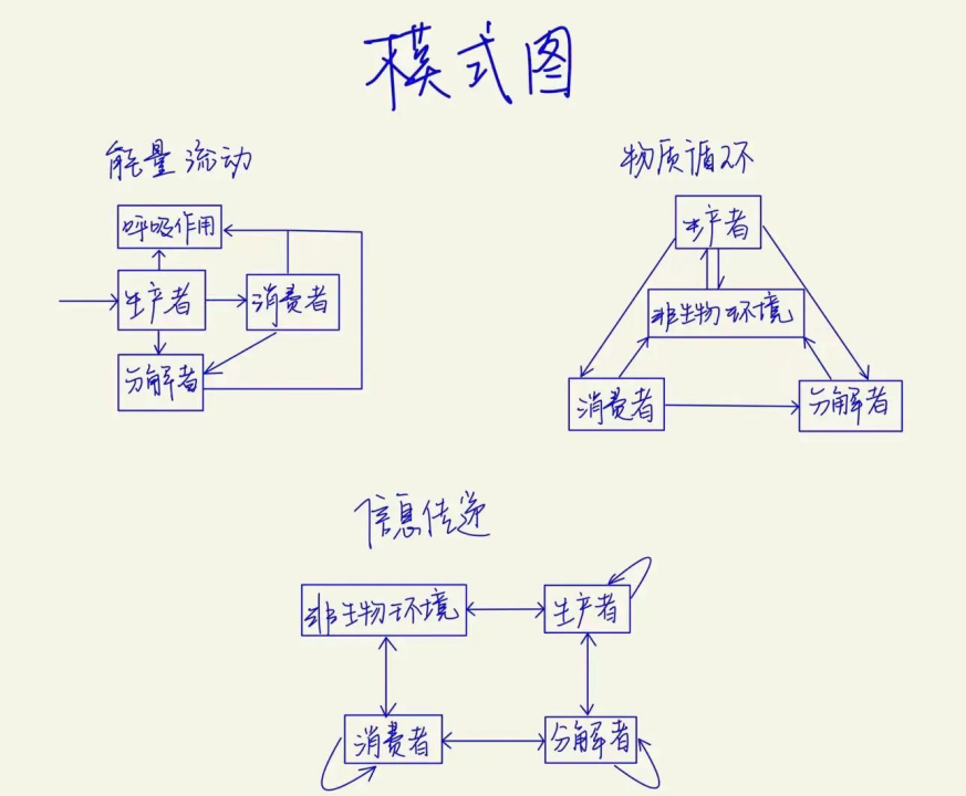 IB生物学习指南—IA选题