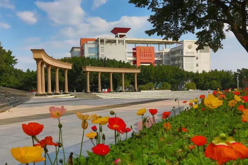 西南政法大学2+2国际本科项目2025年招生简章