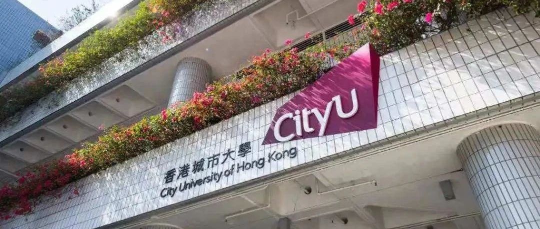 香港城市大学英语语言学系全奖博士招生 | Prof. Hafner