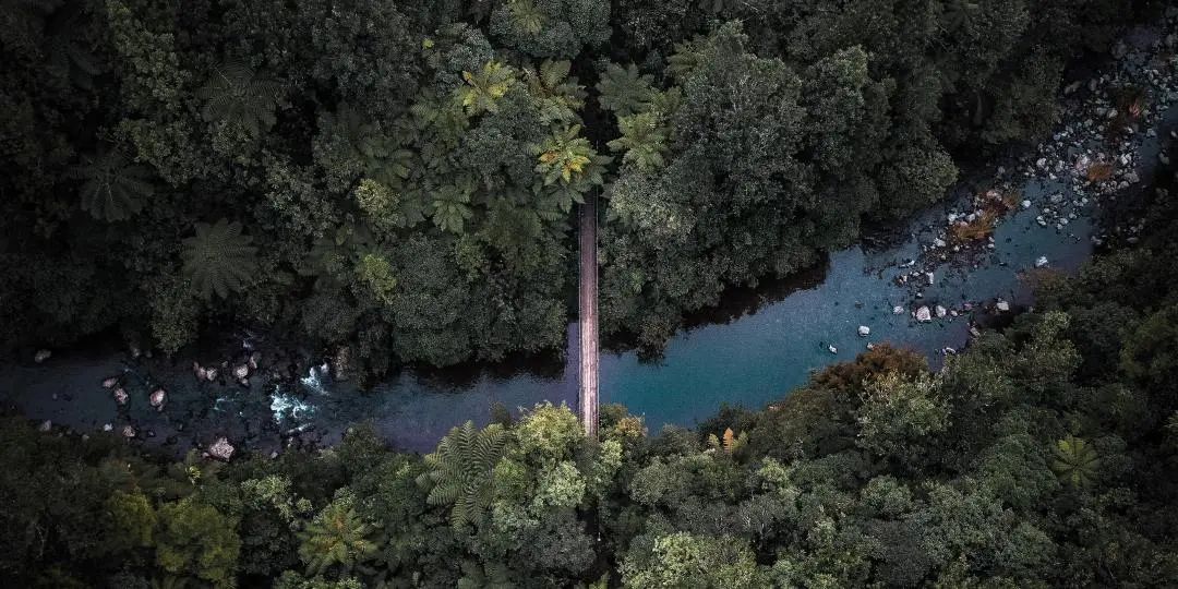 【最后名额！】做有影响力的志愿活动，让海外申请背景脱颖而出！