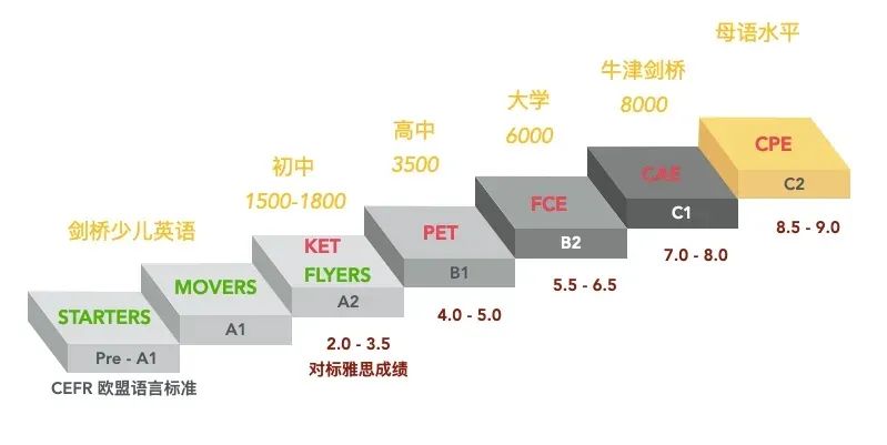 上海小学最有含金量的6个证书你知道吗？准备上海三公够用吗？附上海三公培训课程
