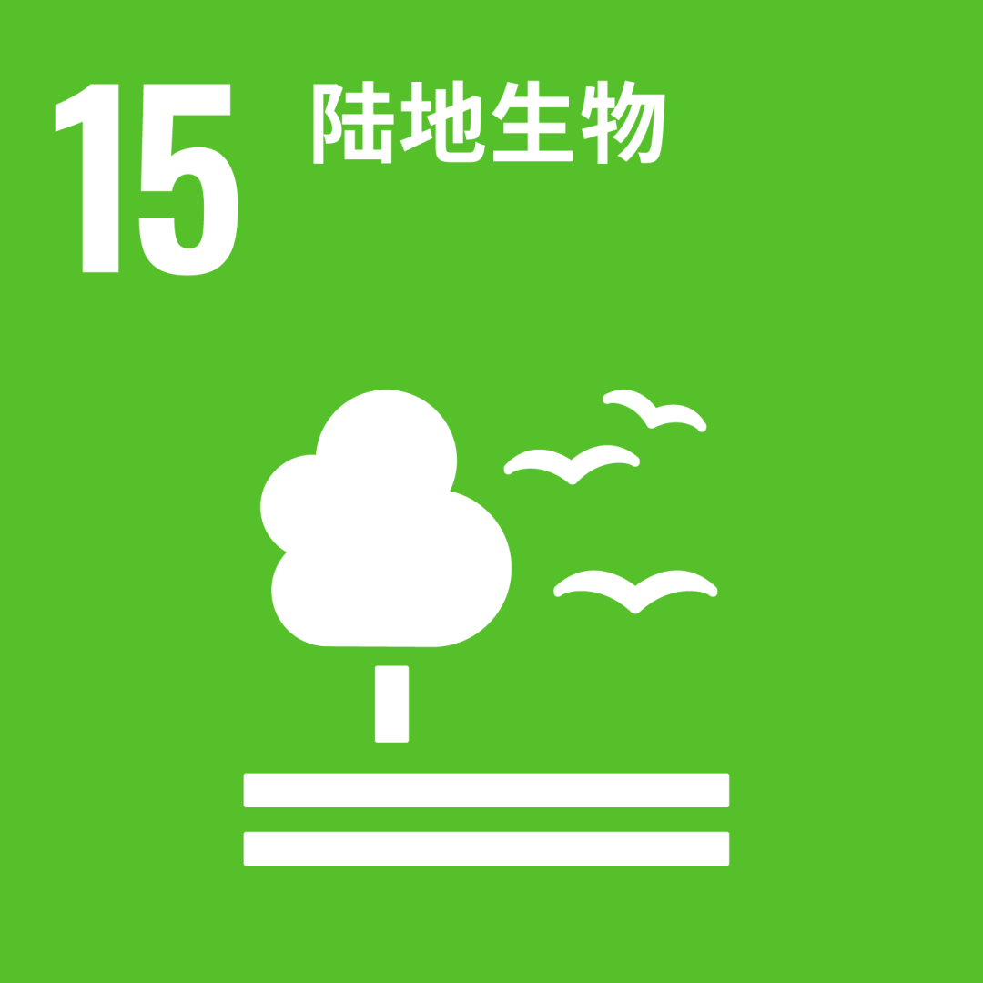 2025THE世界大学影响力排名揭晓！曼大英区第一，世界第二！凭什么？