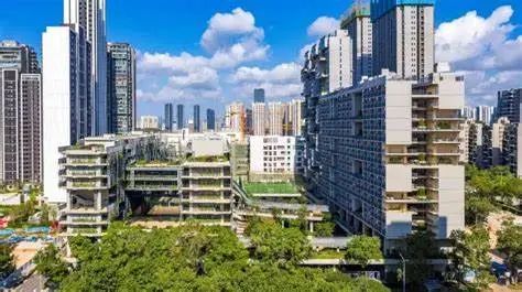 AMC8到底有没有用？AMC8对升学有多重要？AMC8竞赛线上/线下课程安排
