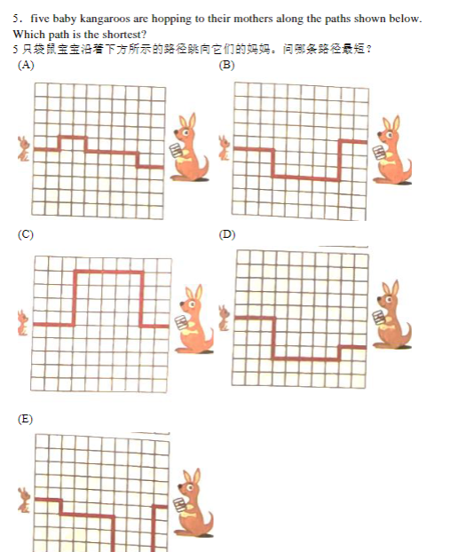 袋鼠数学竞赛受欢迎原来是这些原因 怪不得这么多人开始卷袋鼠数学竞赛！！