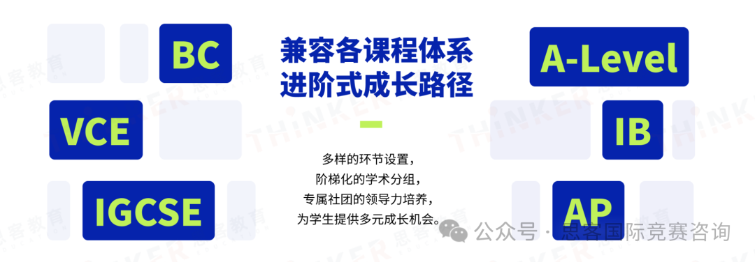 从赛事到备赛，一文读懂NEC经济商赛全攻略！2025年组队辅导进行中！