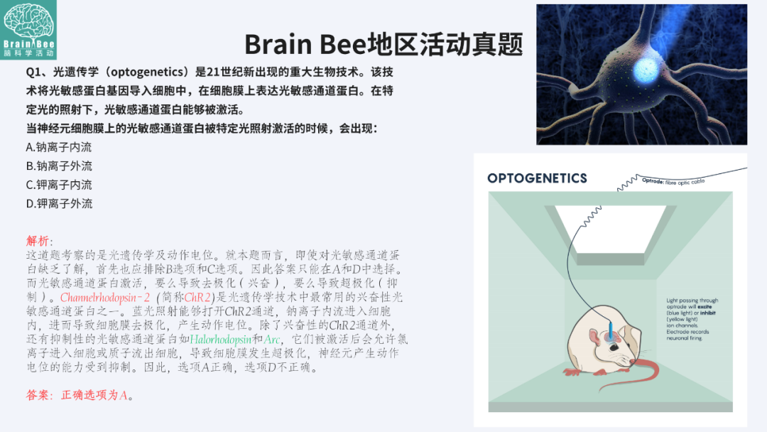 2025年Brain Bee脑科学地区活动Senior组真题1