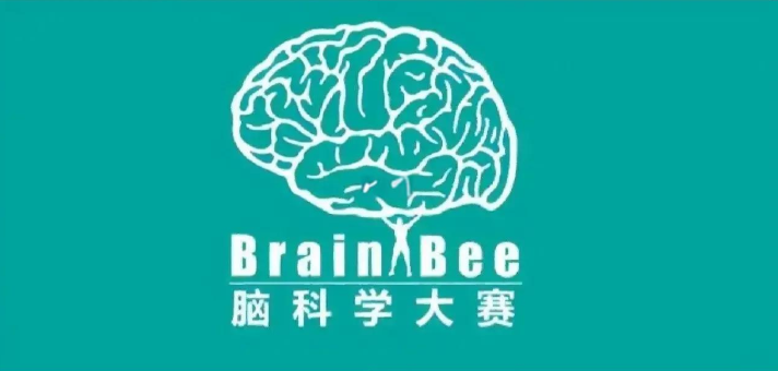 国际生物竞赛盘点，哪个适合你？附生物竞赛规划