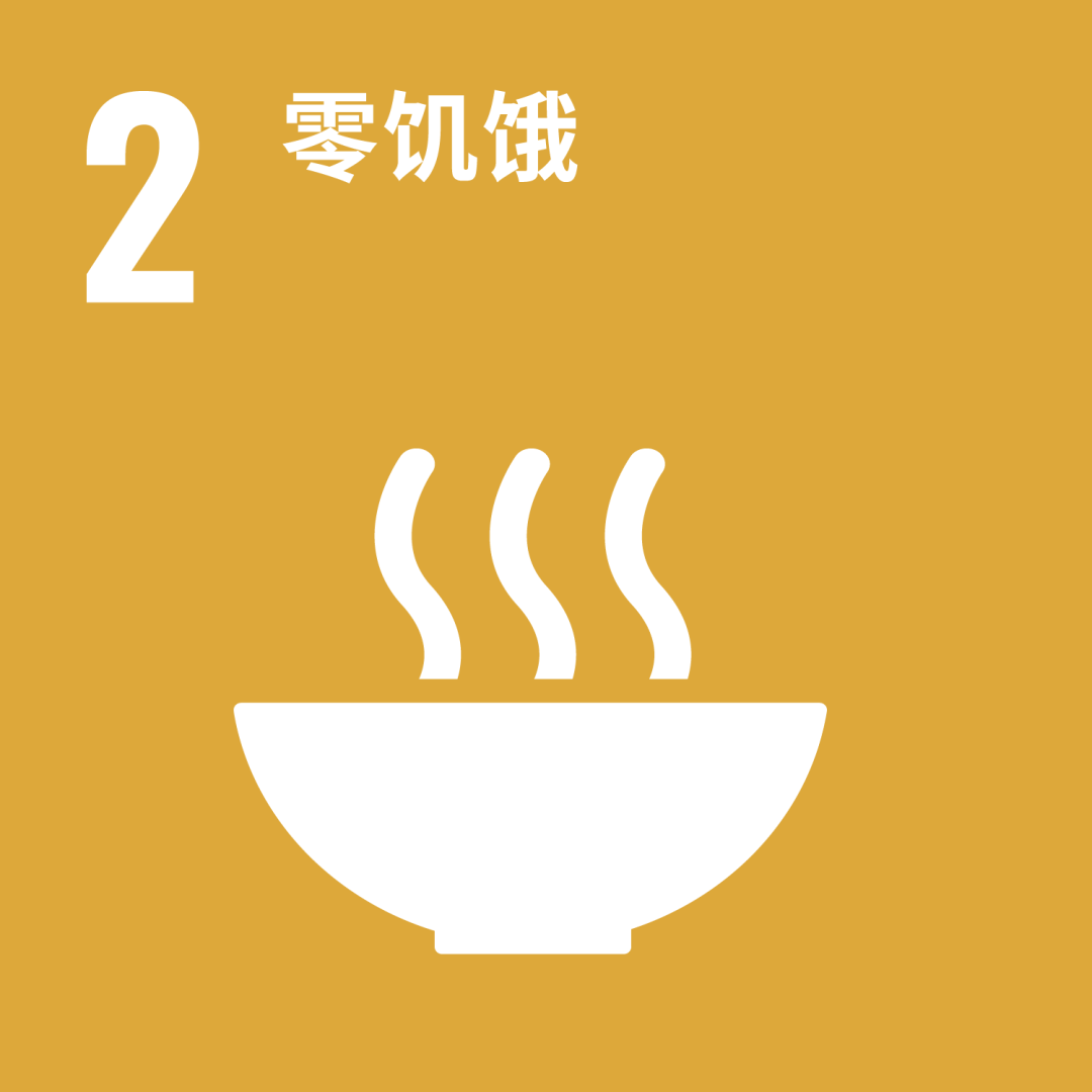 2025THE世界大学影响力排名揭晓！曼大英区第一，世界第二！凭什么？