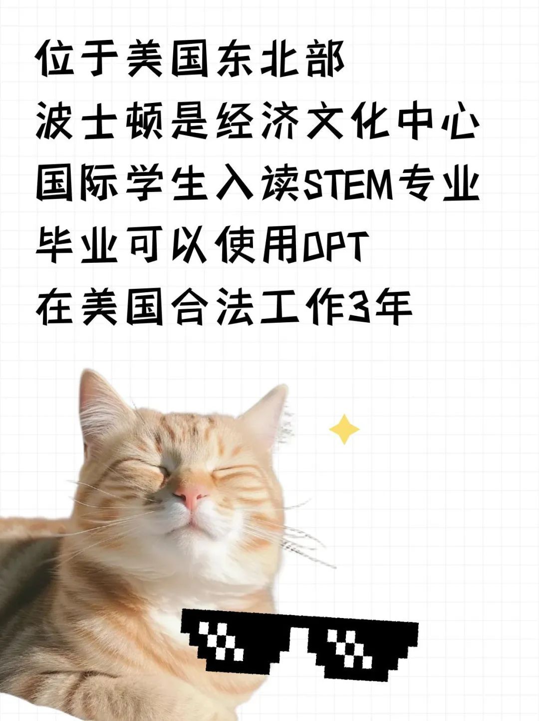 留学美国新英格兰地区给奖学金的大学