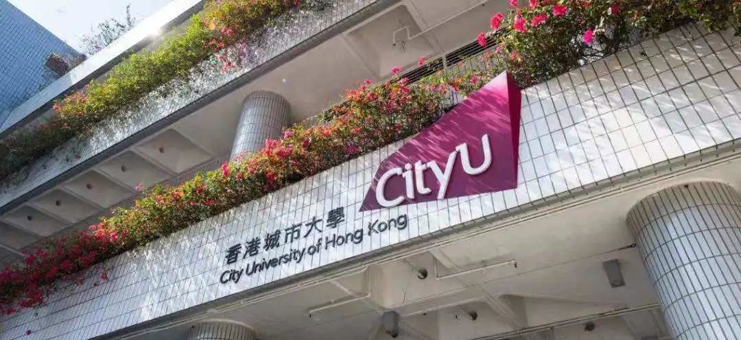 香港城市大学全奖博士招生 | Prof. Hafner(544)