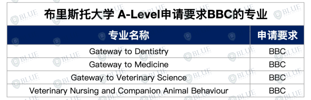 英本申请5个志愿怎么填？这些专业最好申请！