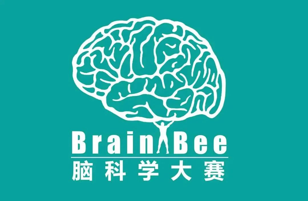 G7-G12高含金量生物竞赛规划路线！爬藤冲G5不可缺少！