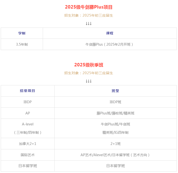 2025年武汉国际学校最新信息汇总（持续更新）