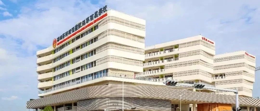 大湾区DSE学校家长选择最多的是培侨？还是民心？