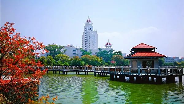 中外合作办学4+0 | 2025年集美大学4+0国际本科工商管理/国际会计​专业学士学位教育招生简章（中外合作办学）