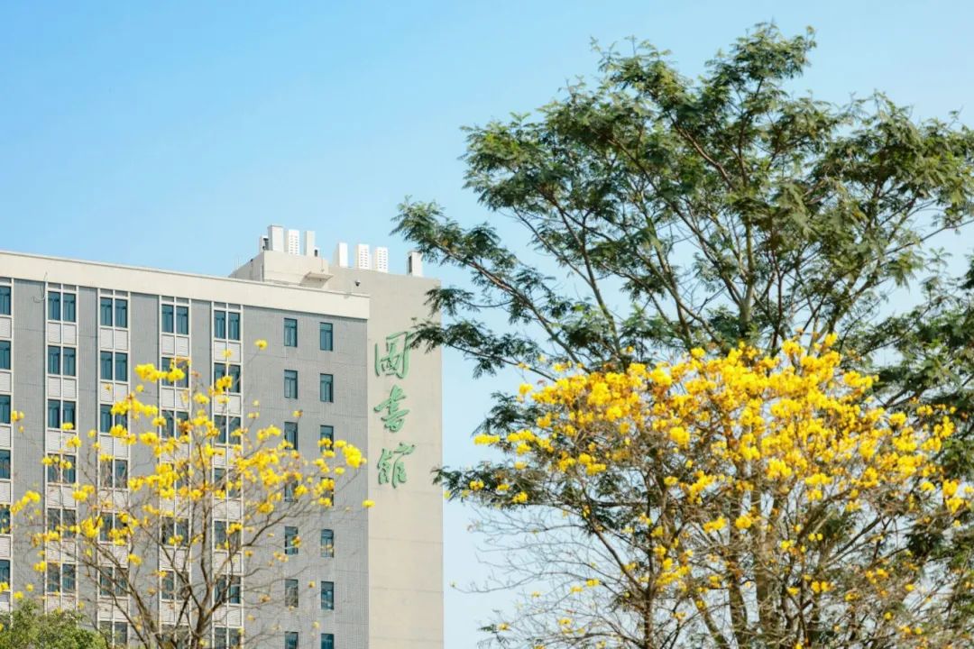 中外合作办学 | 2025年北京理工大学珠海校区SQA3+1国际本科招生简章！