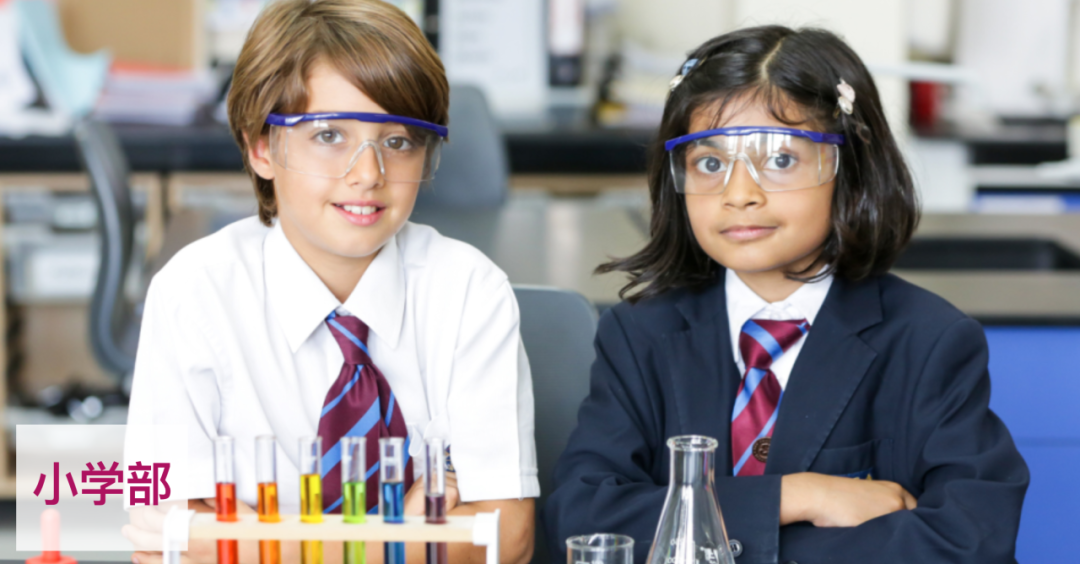 阿布扎比布莱顿学院（Brighton College Abu Dhabi ）入学指南