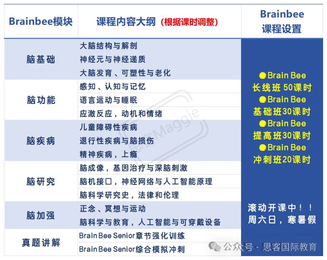 BrainBee 脑科学大赛：5-12 年级参赛指南（赛程时间 、考试内容 、 晋级规则全汇总）