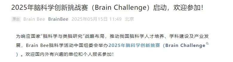 2025年Brain Challenge竞赛详细介绍