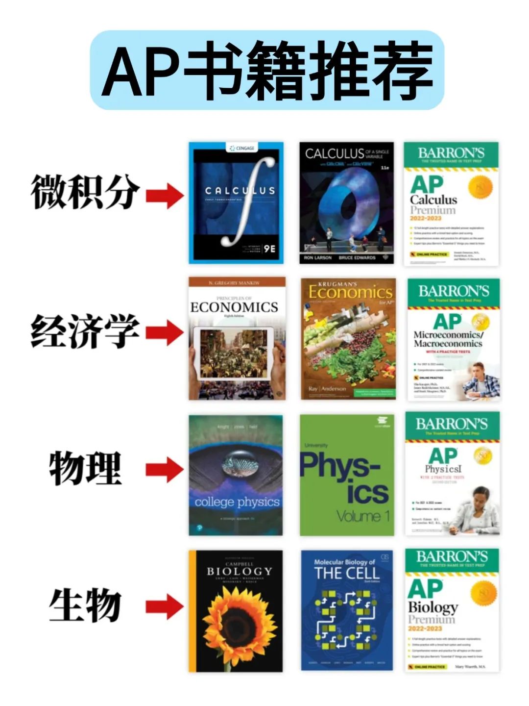 College Board 官宣2025新增7门AP课程！国际生该怎么选课？