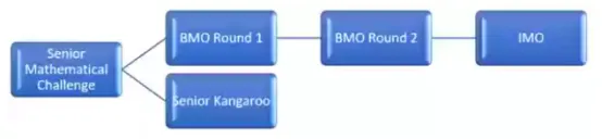 BMO难度大含金量高？一文详解BMO英国数学奥林匹克竞赛