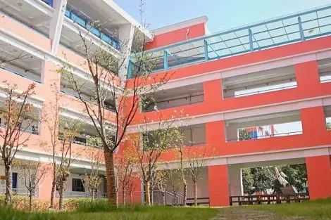 上海静安区国际高中学校｜上海诺科学校，老牌国际高中，开设美高AP课程！