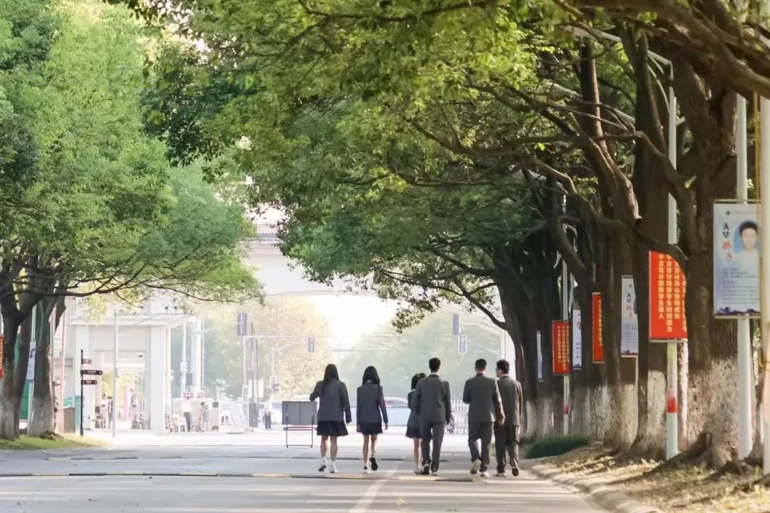 先稳扎根基，再从容升学！上海天华国际中本贯通的多元路径，让孩子们少些焦虑多些稳妥