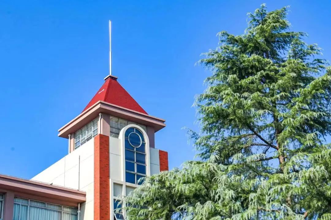 先稳扎根基，再从容升学！上海天华国际中本贯通的多元路径，让孩子们少些焦虑多些稳妥