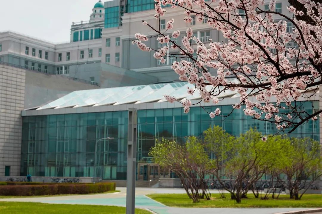 哈尔滨工业大学英国名校本科商科预备课程班1+3招生简章