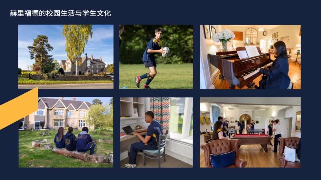 南京国际高中｜南京河西外国语学校国际部2025年秋季招生简章！新增日本高中！