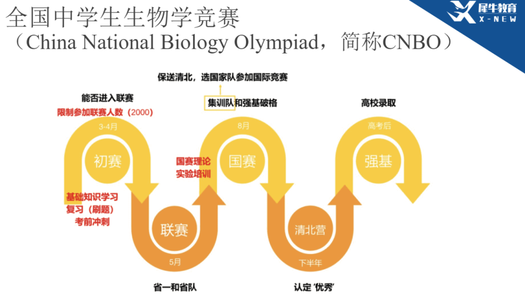 生物高联是什么？与强基计划有什么关联？对升学有帮助？一文看懂！