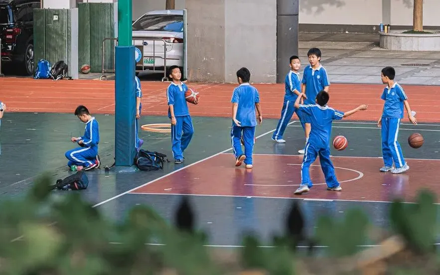 热点解读 | 深圳中考分数线揭榜：B+以下大概率去向职高或民办
