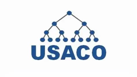USACO国际竞赛深度解析