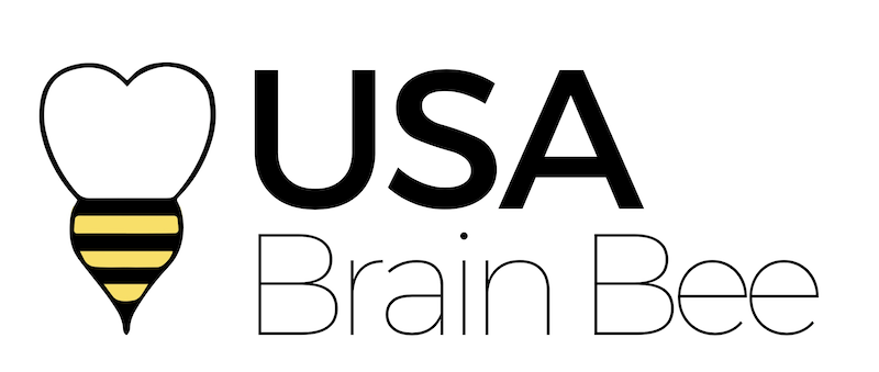 心理学进阶指南：从AP/IB/A-Level到Brain Bee，哪个才是最优解？