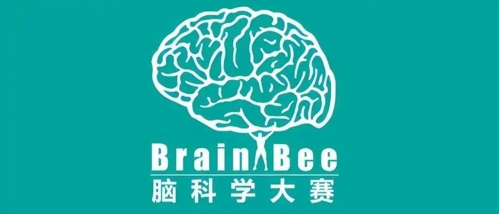 7-12年级国际生应该如何规划生物竞赛？BrainBee/BBO/USABO /IGEM一文解析