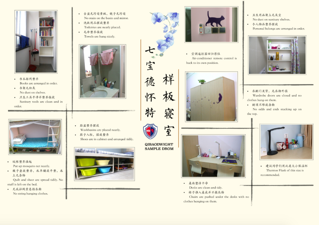 第一所中美合作办学的“中外混血”牛校，上海最难进的学校之一——七宝德怀特，实力究竟有多强？