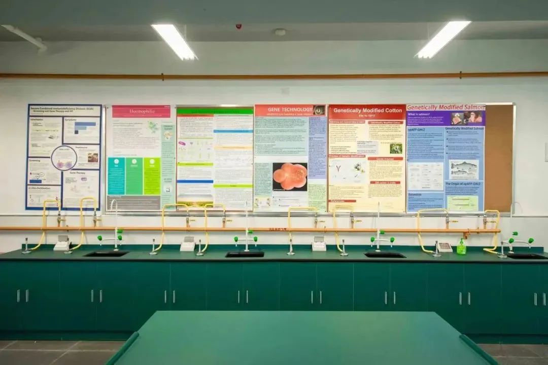 学校百科|不止牛剑，美本藤校也开始 “杀疯了，深国交到底牛在哪？