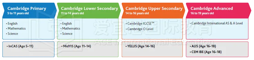深度 | CAT4、CEM、OPT、GSE、PTE...常见英式考试难点全解析！