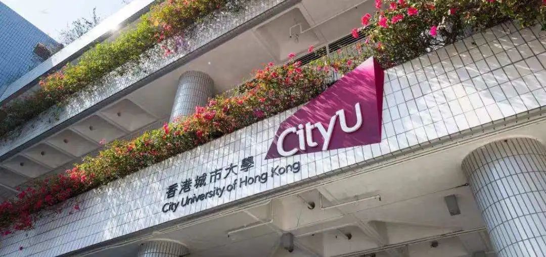 香港城市大学全奖博士招生 | Prof. Wong（567）