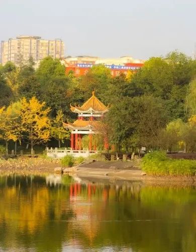 2025西南政法大学2+2雷丁大学马来西亚分校项目