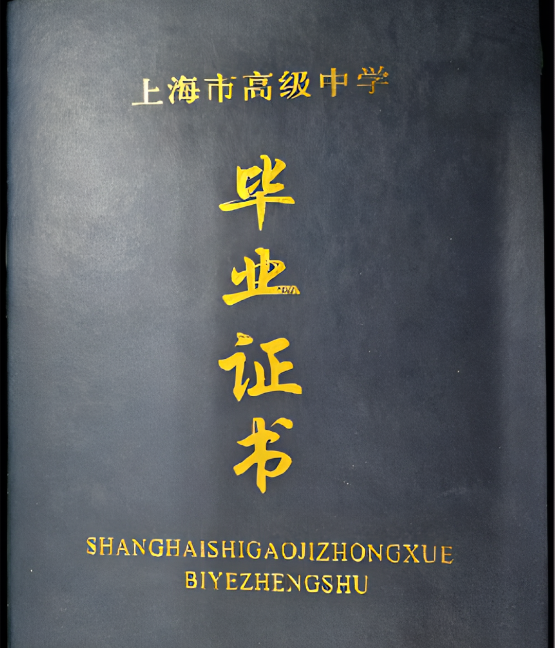 中考463-513如何选择高中？——补录倒计时！抢占优质国际教育资源，冲刺全球top100!
