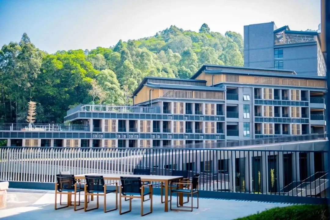 广州国际学校｜省实中英国际课程